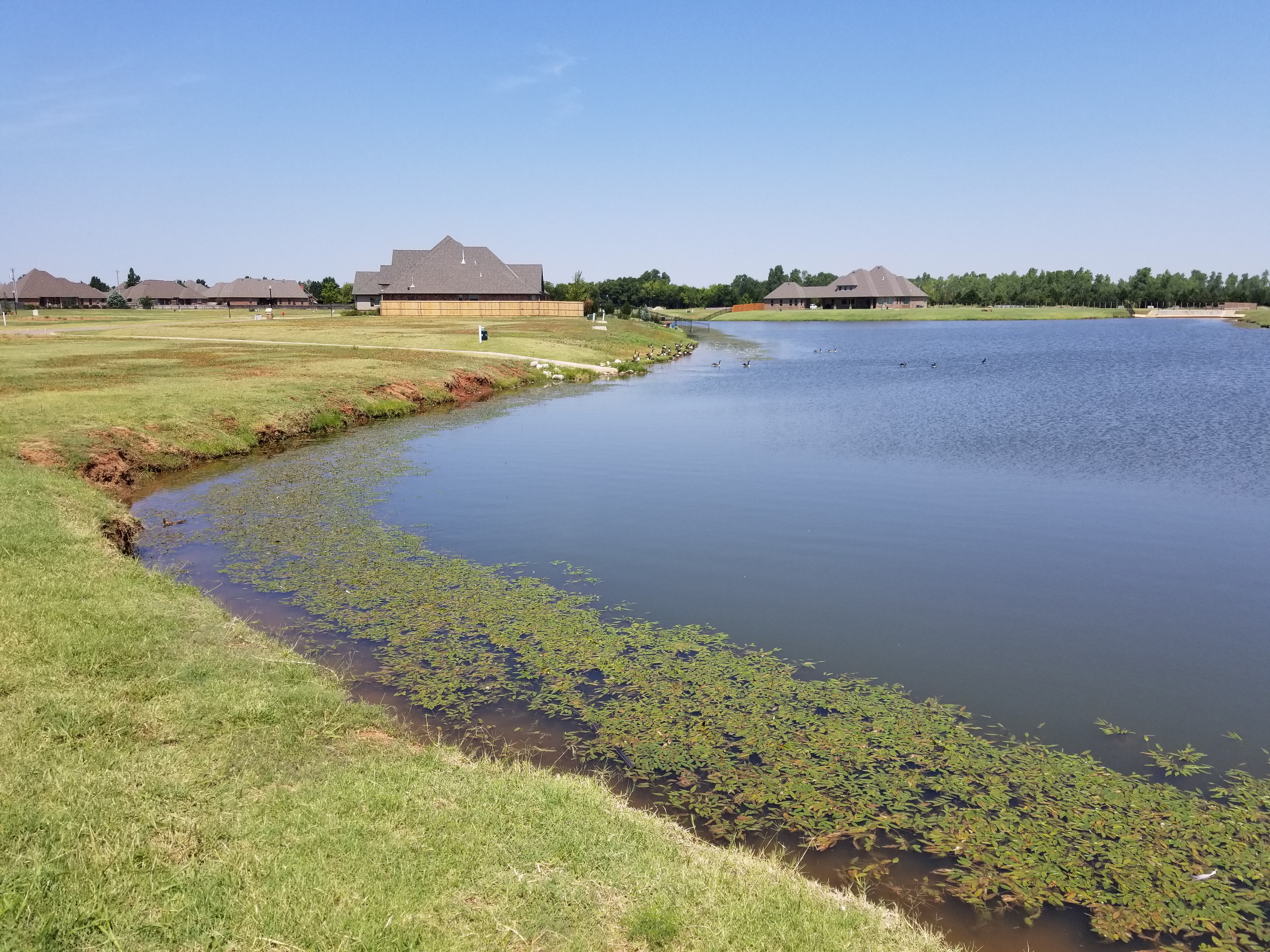 Before pond