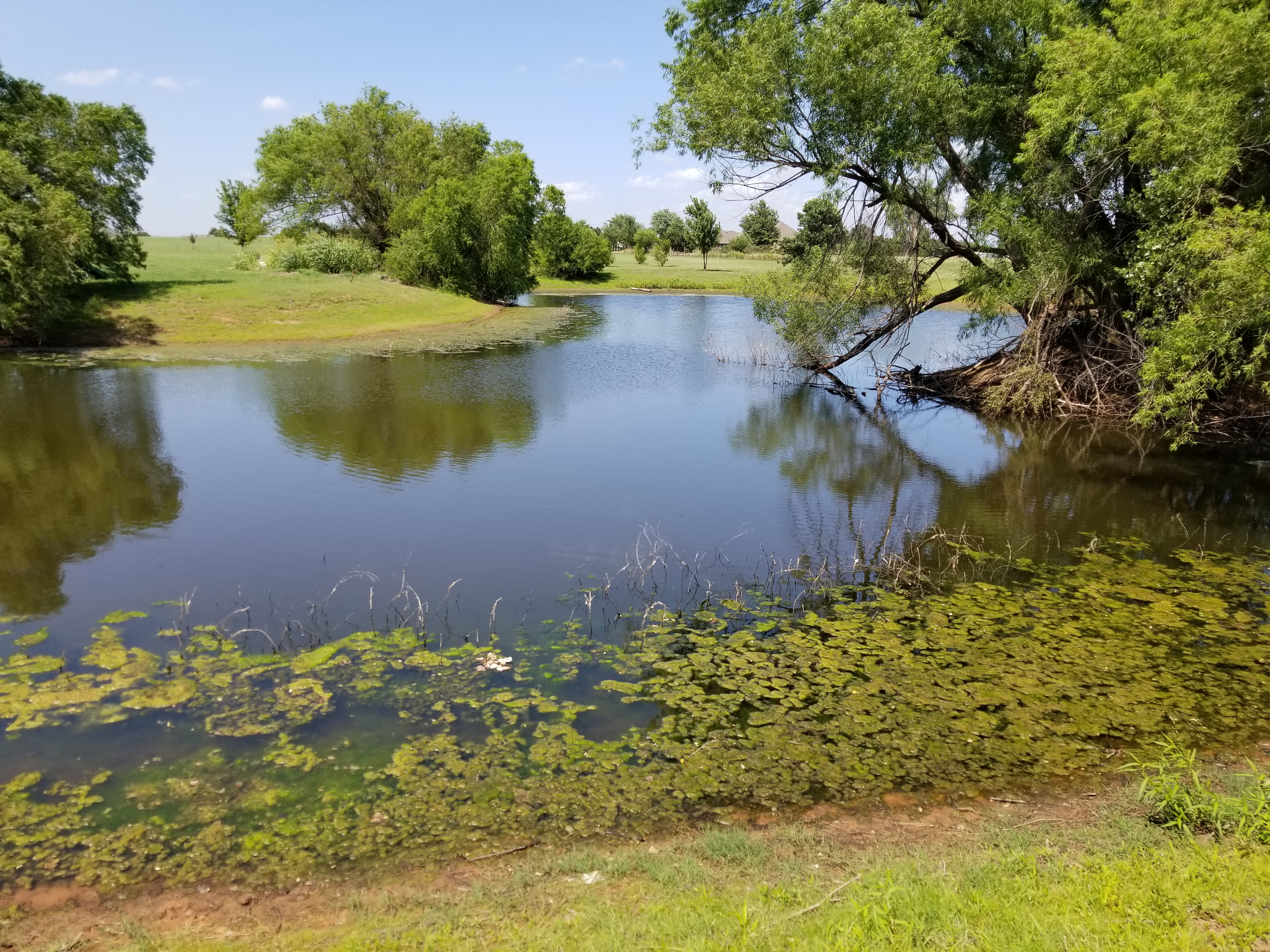Before pond