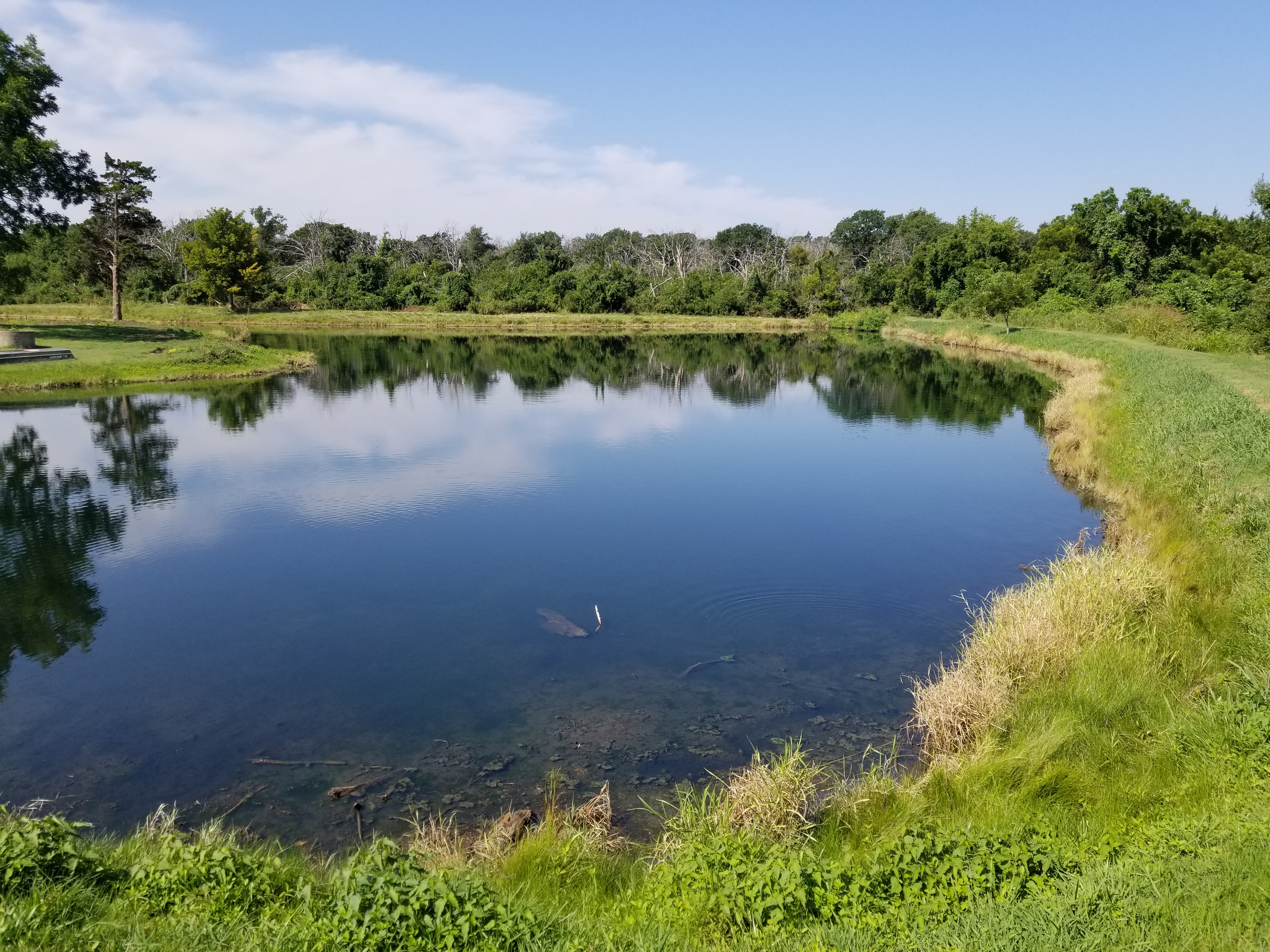 After pond