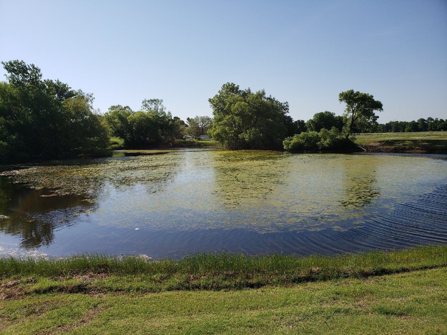 Before pond